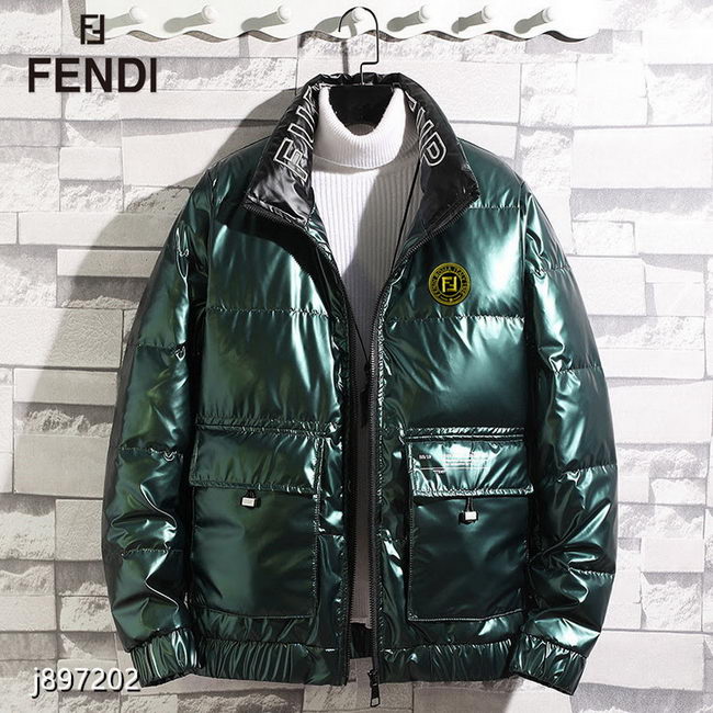 Fendi Down Jacket Mens ID:202109f157